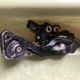 Image for article titled My Stupid Plan To De-Anodize A Bike Derailleur Silver Actually Worked